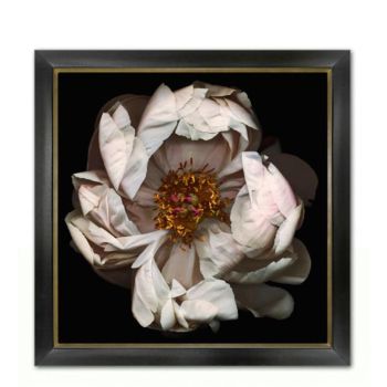 Miranda Flower Photography 03 Medium Wall Decors 