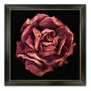 Miranda Flower Photography 02 Wall Decors 