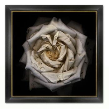 Miranda Flower Photography 05 Large Wall Decors 
